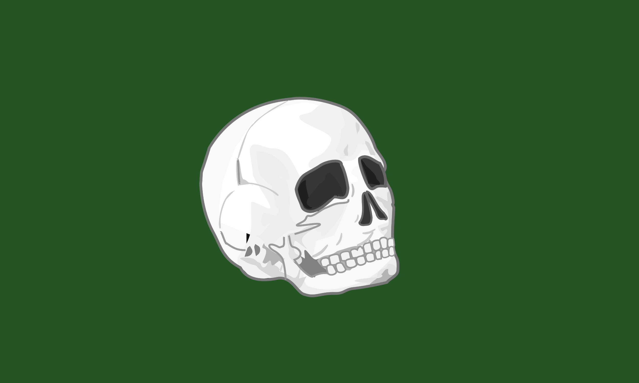 Illustration of a 16th-century Barbary corsairs skull flag.