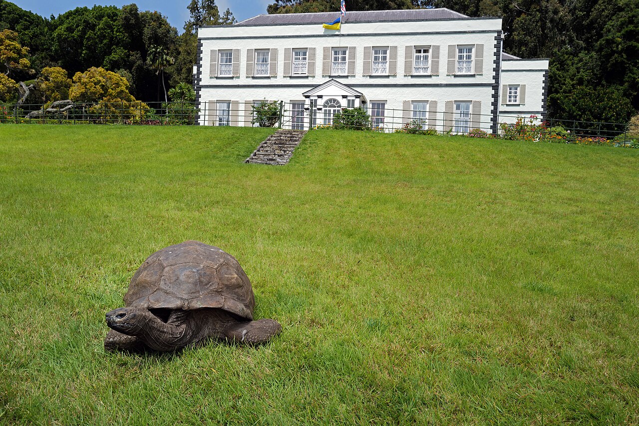 Jonathan on the lawn before Plantation House in 2022.